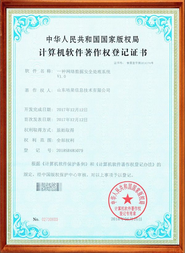 一种网络数据安全处理系统